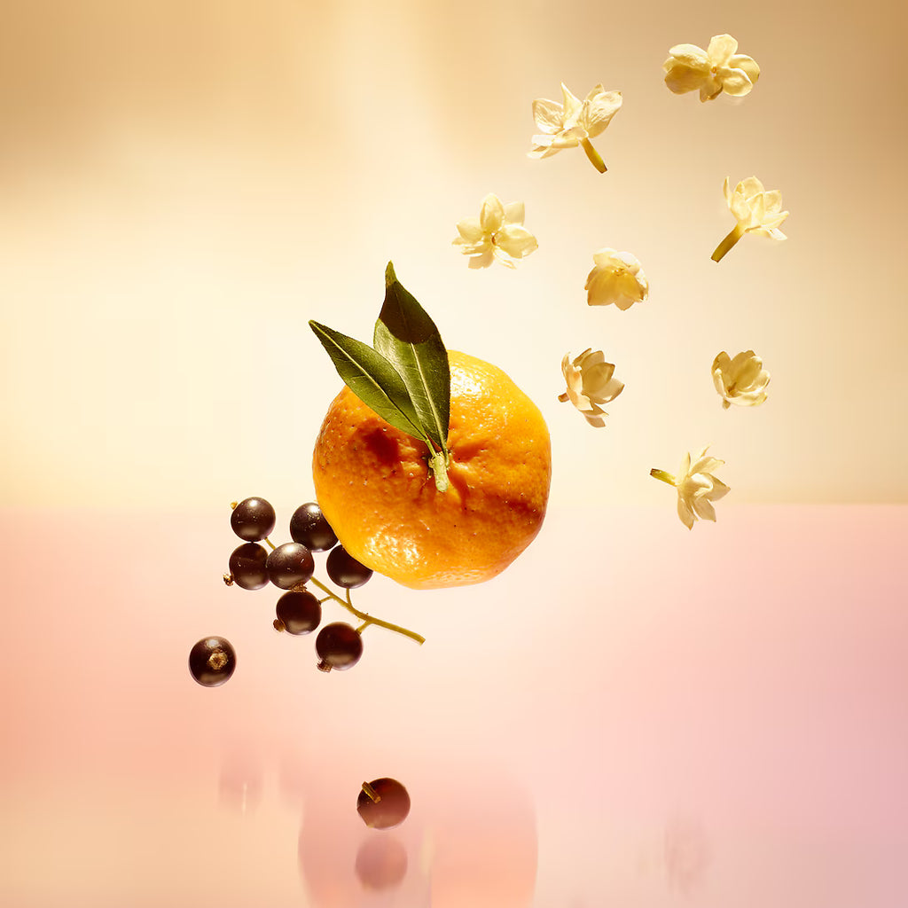 Louis Vuitton Le jour se leve (Caja)