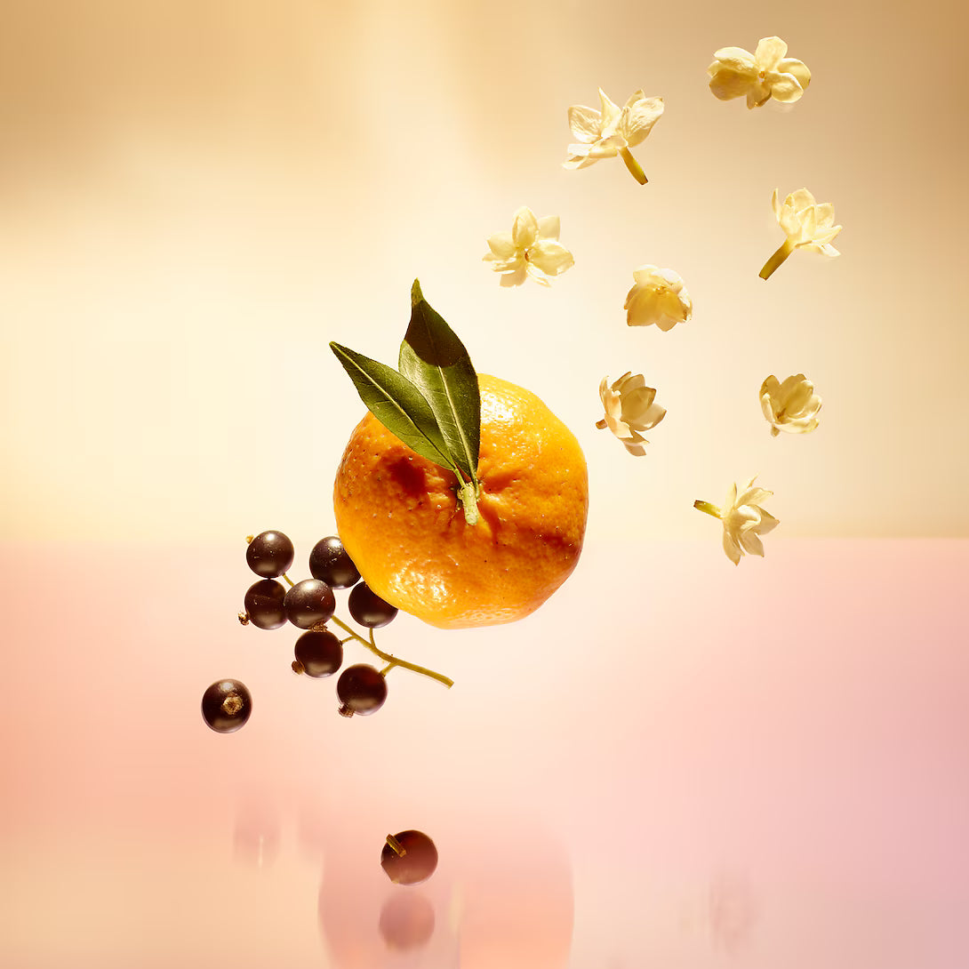 Louis Vuitton Le jour se leve (Caja)