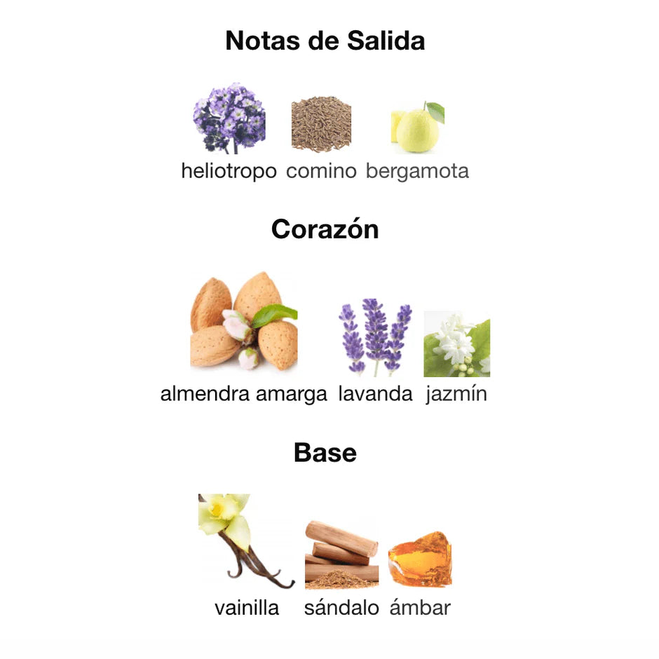 MARLY PEGASUS PROMO
